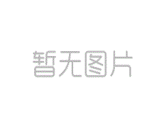 代理及支持